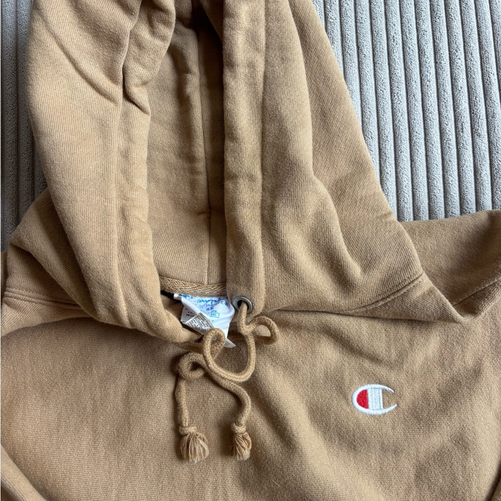 Large Reverse Weave Champion Sweatshirt